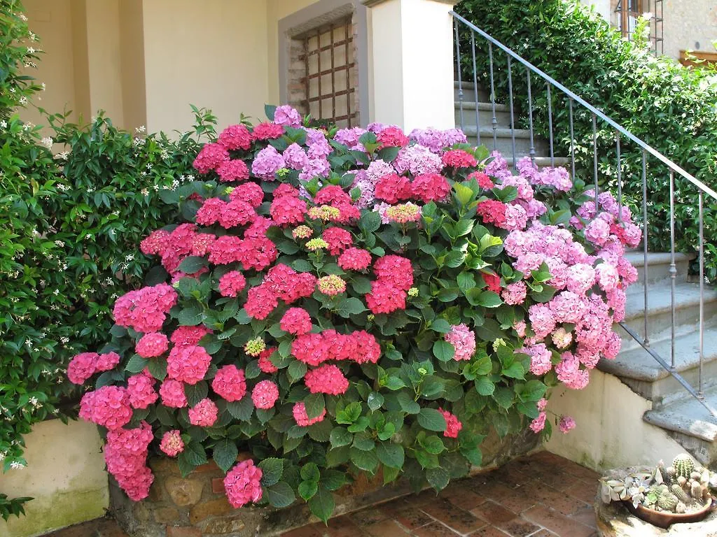 Borgo Dei Cadolingi Apartment Gambassi Terme